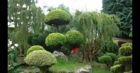 Japanese Garden Design Ideas to Style up Your Backyard