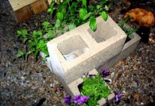 Getting Creative With Cinder Block Gardening – Cinder Block Garden Ideas