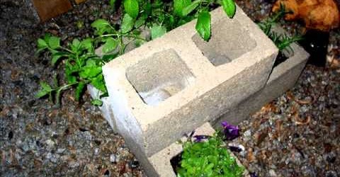 Getting Creative With Cinder Block Gardening – Cinder Block Garden Ideas