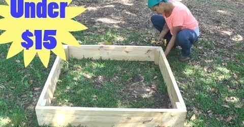 How to Build a Raised Garden Bed for Under $15!