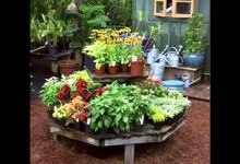 Small Garden Ideas Pt 2 – Top Tips For Tiny Gardens And Awkward Small Spaces – Tiny Garden Ideas