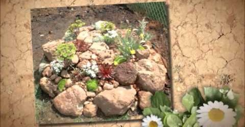 Rock Garden Ideas for Your Backyard