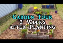 Gardening Beginners Vlog  – Raised Bed, Square Foot and Container Gardens