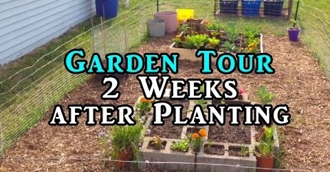 Gardening Beginners Vlog  – Raised Bed, Square Foot and Container Gardens