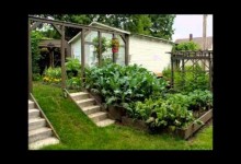 small vegetable garden design | small backyard vegetable garden design ideas