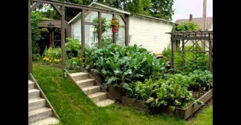 small vegetable garden design | small backyard vegetable garden design ideas