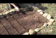 Planting Vegetables – How to Plant a Small Vegetable Garden