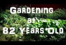 Tour & Harvesting of my Grandfather’s Vegetable Garden