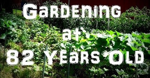 Tour & Harvesting of my Grandfather’s Vegetable Garden