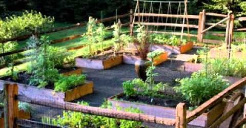 Small vegetable garden ideas