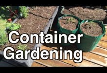 Grow a lot of Food in Small Spaces with Container Gardening