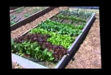 Block Style Layout in Raised Bed Vegetable Gardens