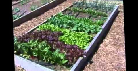 Block Style Layout in Raised Bed Vegetable Gardens