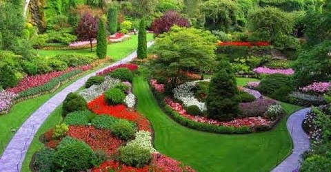 Garden Plans and Landscape