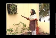 Spaces Gardening Redefined on Makal Tv