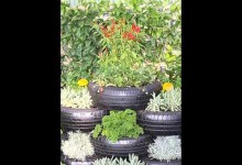 Creative Gardening Ideas – Gardening Ideas