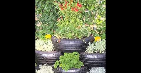 Creative Gardening Ideas – Gardening Ideas