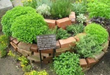 Herb Garden Design Ideas | Simple Herb Garden Design Ideas