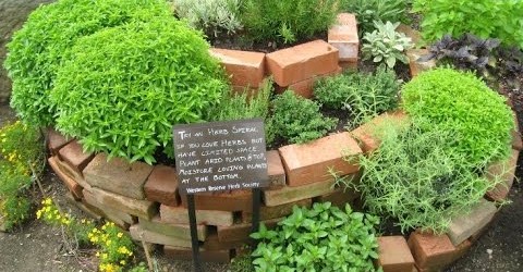 Herb Garden Design Ideas | Simple Herb Garden Design Ideas