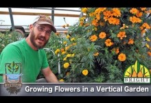 Can you grow flowers in a vertical garden?