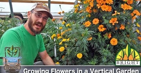 Can you grow flowers in a vertical garden?