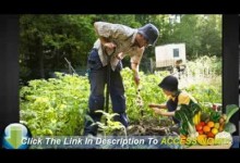 How to Layout a Backyard Vegetable Garden