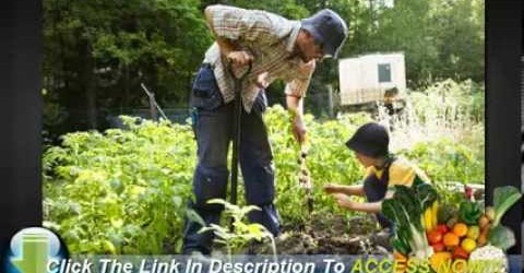 How to Layout a Backyard Vegetable Garden