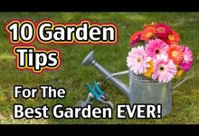 10 Garden Tips For The Best Garden EVER!