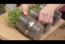 How to Plant an Indoor Hanging Herb Garden with Gina