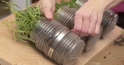 How to Plant an Indoor Hanging Herb Garden with Gina