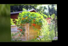 Small Vegetable Garden Ideas