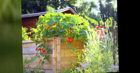 Small Vegetable Garden Ideas