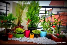 Balcony Vegetable Garden Ideas For Apartments [Balcony Garden Ideas]