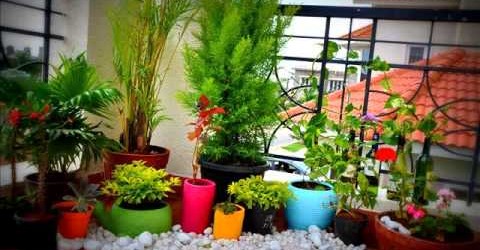 Balcony Vegetable Garden Ideas For Apartments [Balcony Garden Ideas]