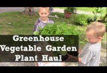 Greenhouse Vegetable Garden Plant Haul ~Unloading Our Garden Plants!