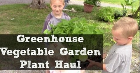 Greenhouse Vegetable Garden Plant Haul ~Unloading Our Garden Plants!