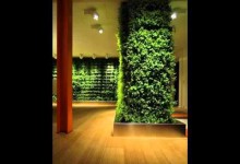 How To Maintain An Indoor Herb Garden [Indoor Herb Garden Ideas]