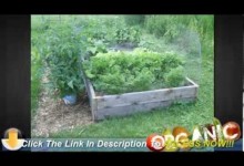 Vegetable Gardening For Beginners – Planting a Beautiful Vegetable Garden at Home