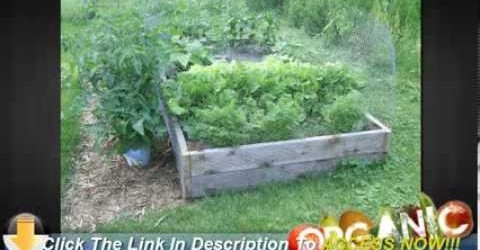 Vegetable Gardening For Beginners – Planting a Beautiful Vegetable Garden at Home