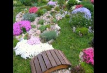 Best Small Garden Design Plans