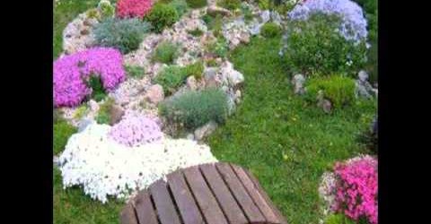 Best Small Garden Design Plans