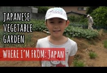 A Visit to a Japanese Vegetable Garden