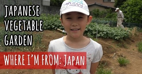 A Visit to a Japanese Vegetable Garden