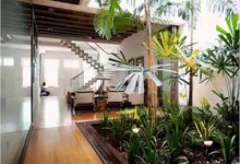 Indoor garden ideas