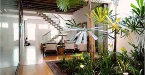 Indoor garden ideas