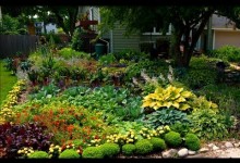 How To Build a Rainbow Garden Design