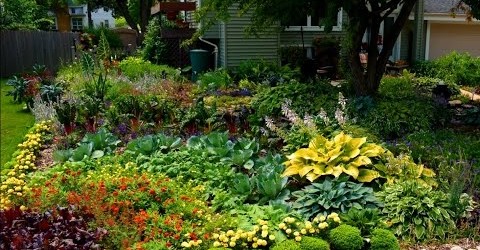 How To Build a Rainbow Garden Design