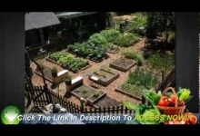 Vegetable Gardening For Beginners – 6 Easy Tips To Start You Off