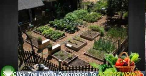 Vegetable Gardening For Beginners – 6 Easy Tips To Start You Off