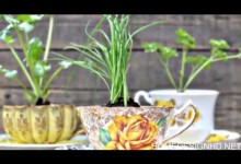 30 Amazing DIY Indoor Herbs Garden Ideas